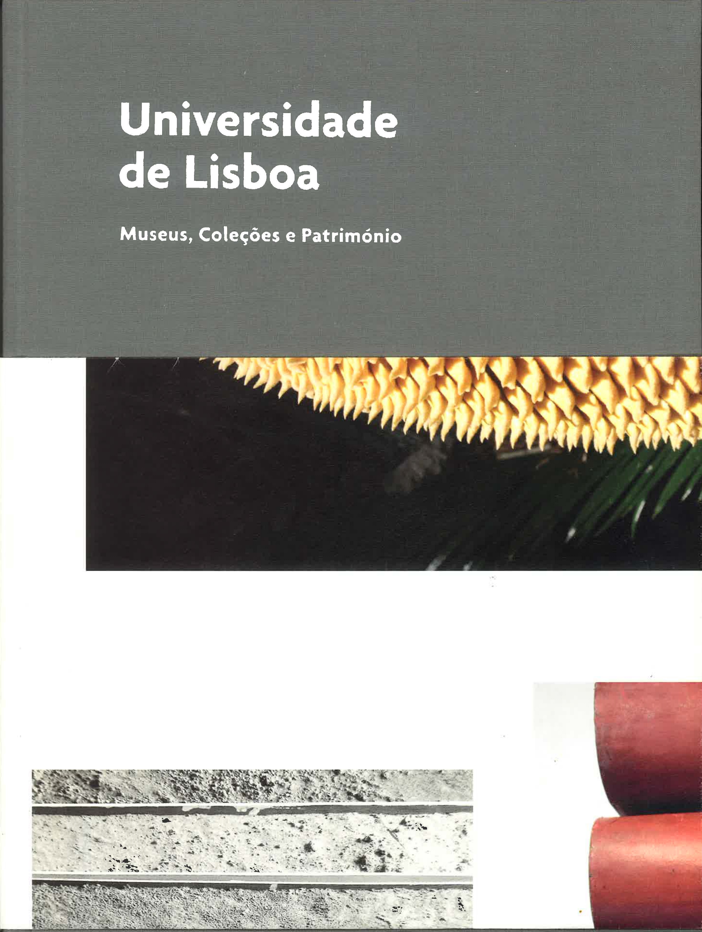 Universidade de Lisboa: Museus, Coleções e Património