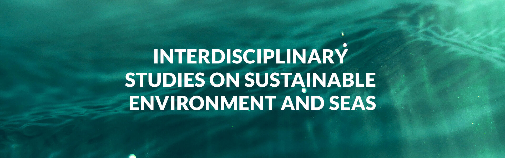 Ulisses - University of Lisbon Interdisciplinary Studies on Sustainability an Seas