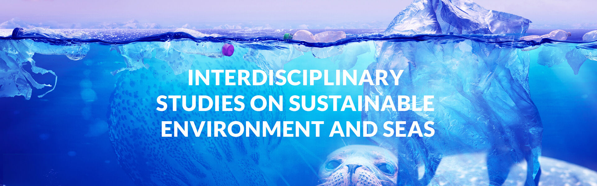 Ulisses - University of Lisbon Interdisciplinary Studies on Sustainability an Seas