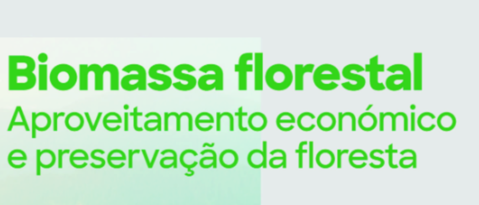 Biomassa em Portugal