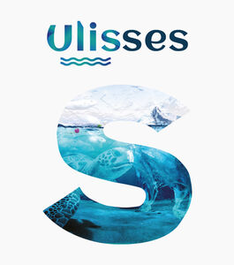Sessão de Esclarecimento | Projeto ULISSES